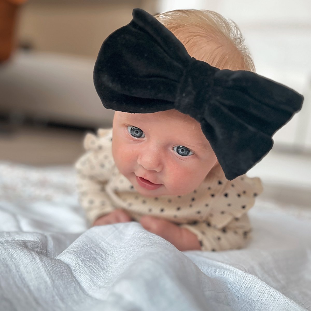Livia Hairband | Velvet Bow Black